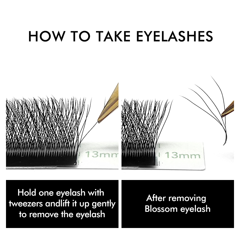 3D 4D 5D 6D W Shaped Clover Ey - огляд і ціна Eyelash Extension Russian